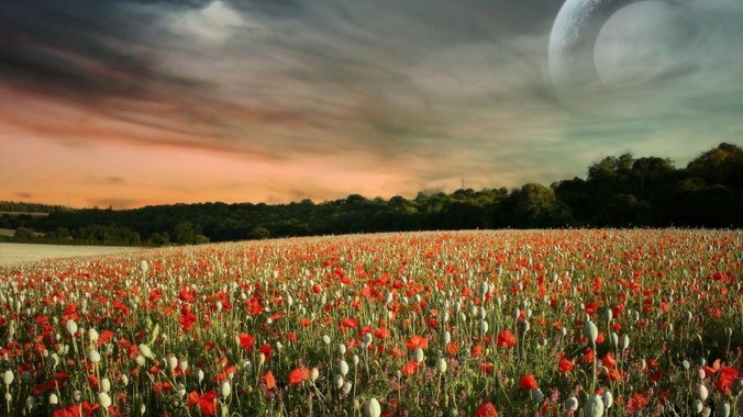 如何评价上海理工大学 C语言考试，老师不认识vscode 说是切屏***?